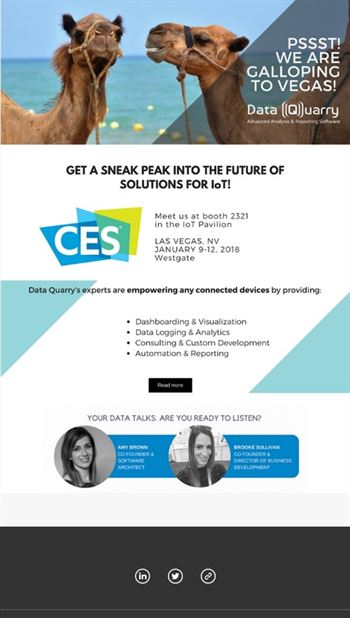 digital flyer