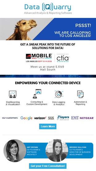 sales flyer